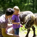 Marktlalm * Turracher Hohe