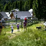 Alpehytte Marktlalm