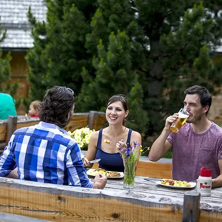 Chalet Almhuttendorf Turrach Chalet *