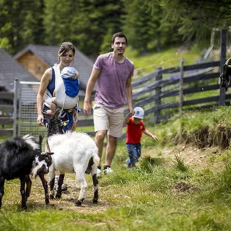 Alpesi faház Marktlalm Turracher Höhe