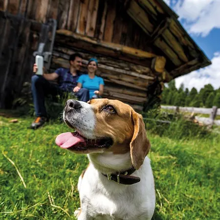 Alpesi faház Marktlalm *