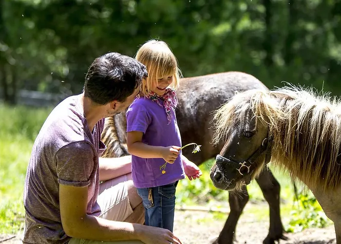 Marktlalm * Turracher Hohe